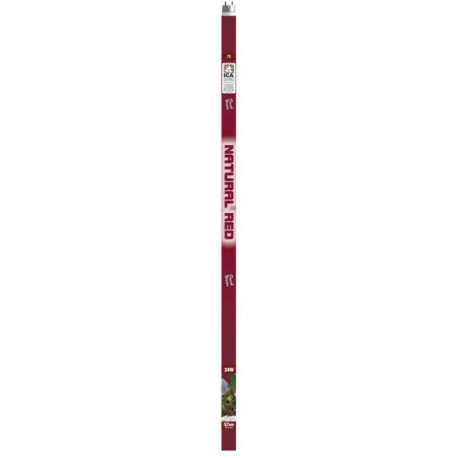 Tubo T5 ICA Natural Red 80w.