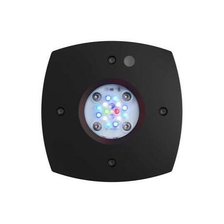 AI, PRIME 16HD REEF 59 w. (Negra)