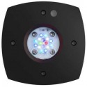 AI, PRIME 16HD REEF 59 w.