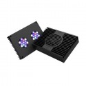 AI, HYDRA-32 HD 95 w.