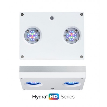 AI, HYDRA-32 HD 95 w. (Negra)