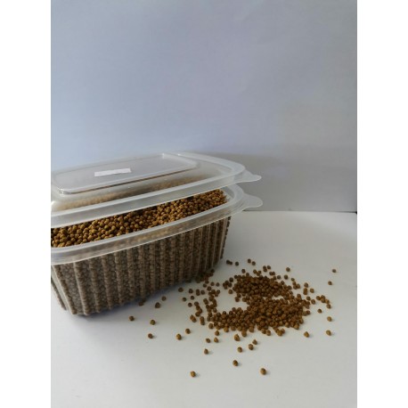 Pellet Gold Artemia Koral Gmbh