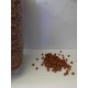 Pellet Koi Color Artemia Koral Gmbh