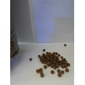 Pellet Koi Adulto Artemia Koral Gmbh
