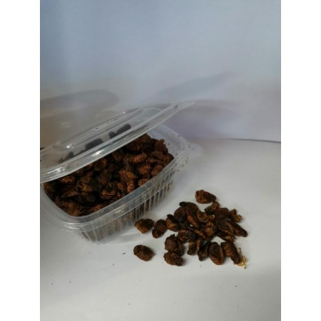 Gusanos de Seda Secos Artemia Koral Gmbh
