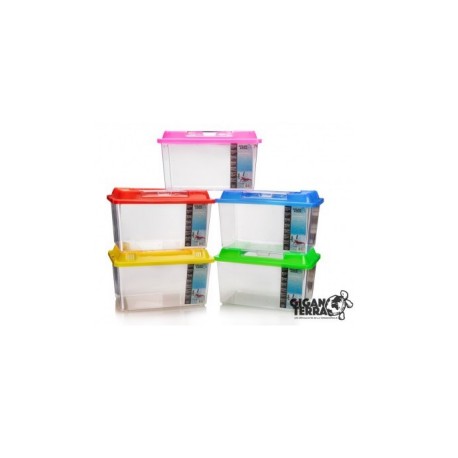 Giganterra Fauna Box L nº697