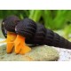 Tylomelania sp. Caracol conejo naranja