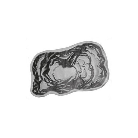 Estanque Heron Starter 5 470 Litros